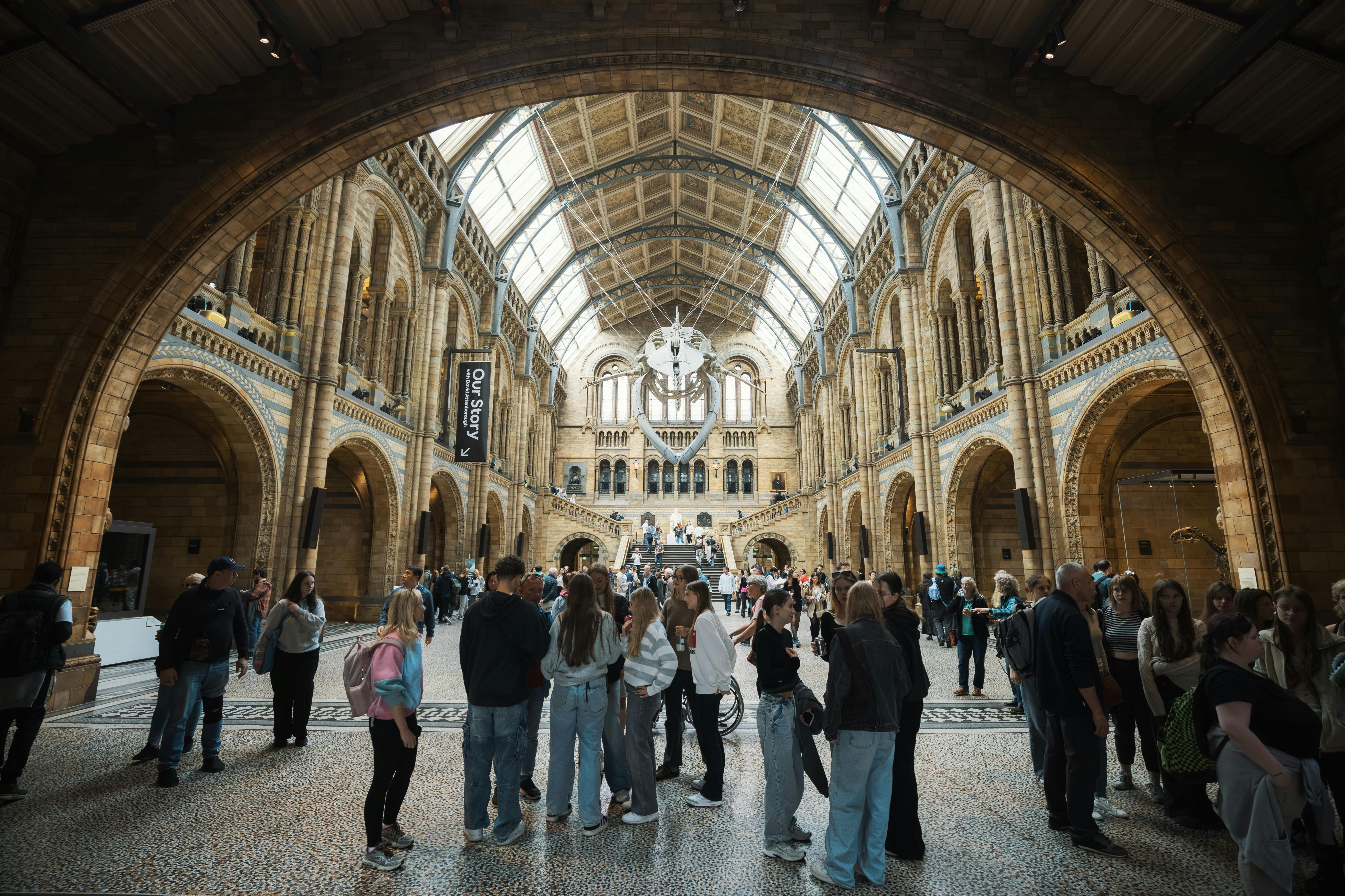 Museum exhibition hall
